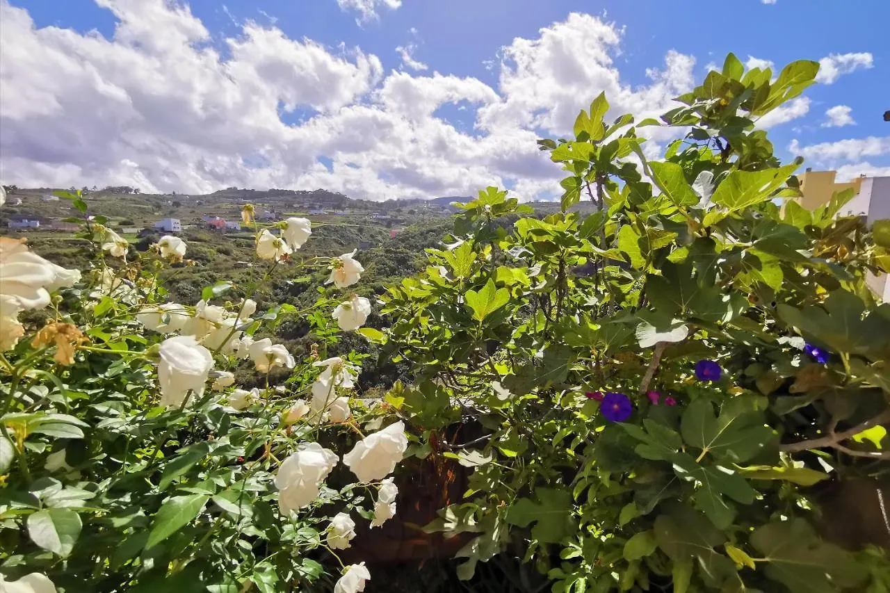 House Of Hearts Wunderschones, Kanarisches Haus Mit Garten, Vielen Terrassen Und Traumblick Santa Maria de Guia de Gran Canaria
