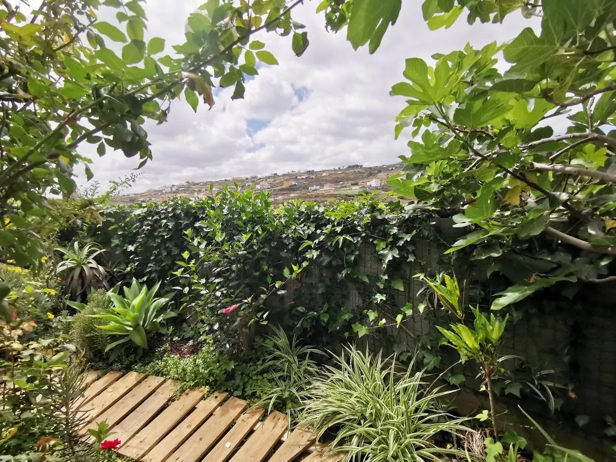 House Of Hearts Wunderschones, Kanarisches Haus Mit Garten, Vielen Terrassen Und Traumblick Santa Maria de Guia de Gran Canaria Ferienhaus